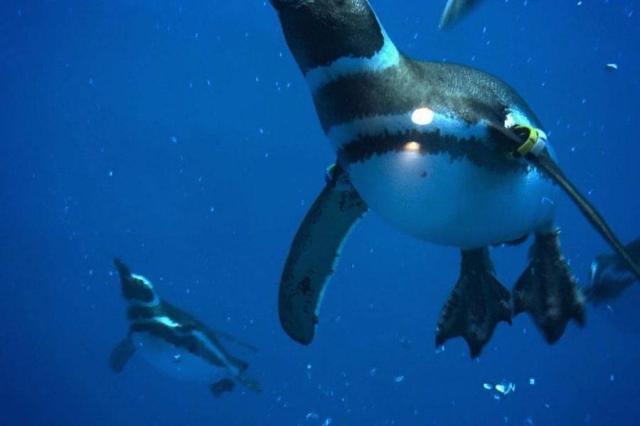 上越市立水族博物館　うみがたり