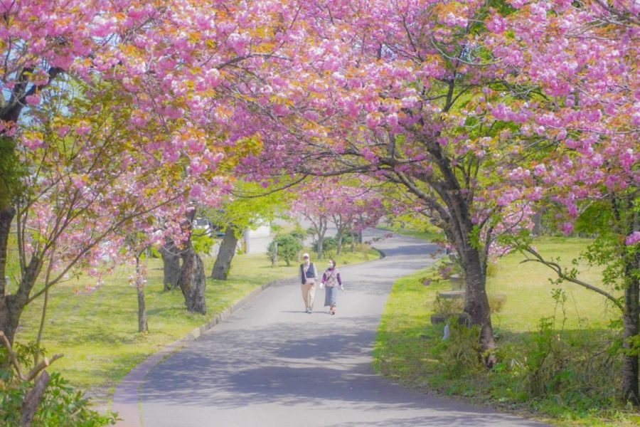 五智公園