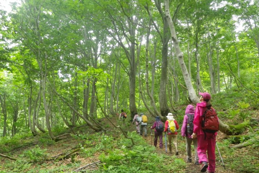 くわどり市民の森