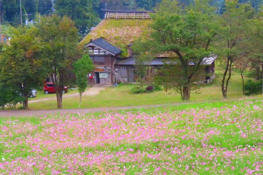 牧ふるさと村　自然と憩の森