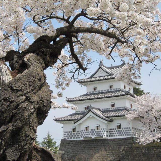 新発田の春まつり