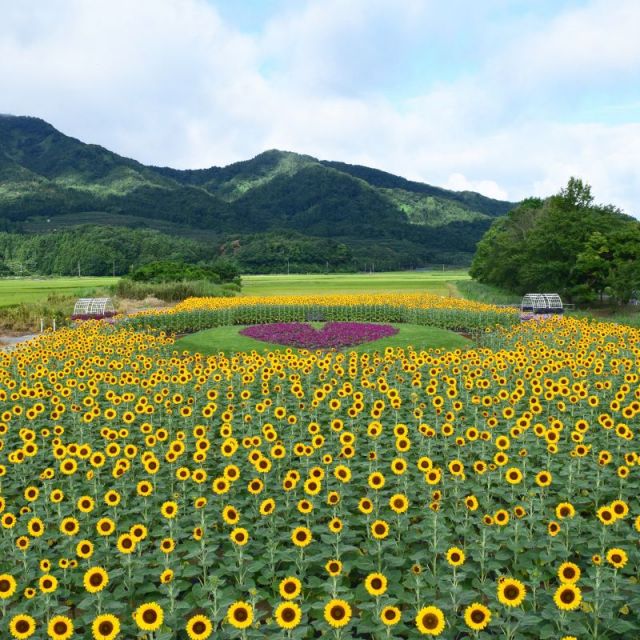 上堰潟公園