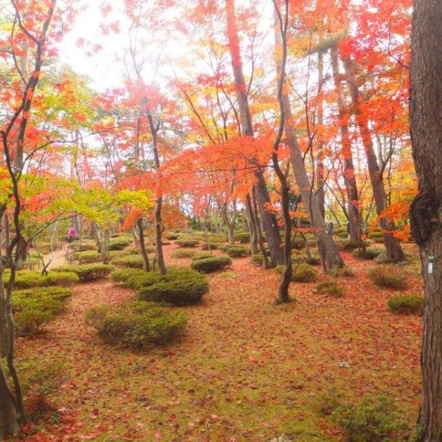 庭園巡りワンデーツアー【秋】　