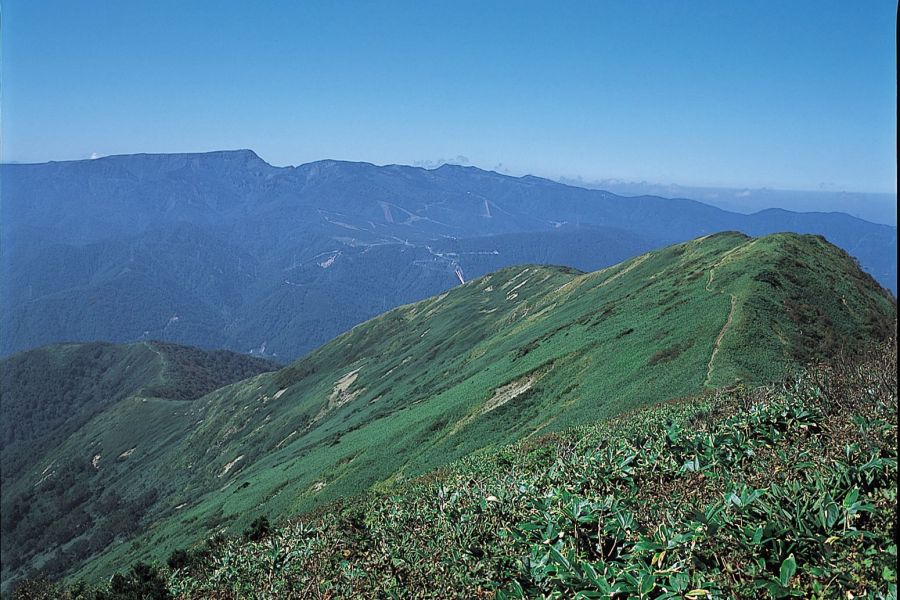 平標山 平標登山口 新潟の観光スポット 公式 新潟県のおすすめ観光 旅行情報 にいがた観光ナビ