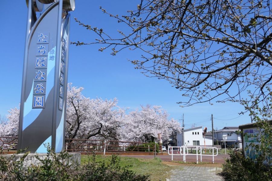 与板河川緑地たちばな公園