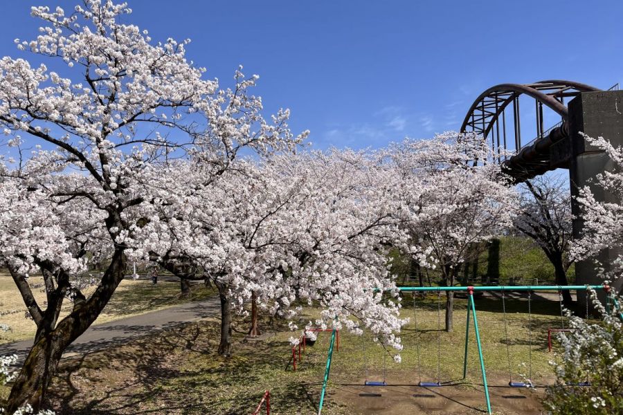 今宮公園