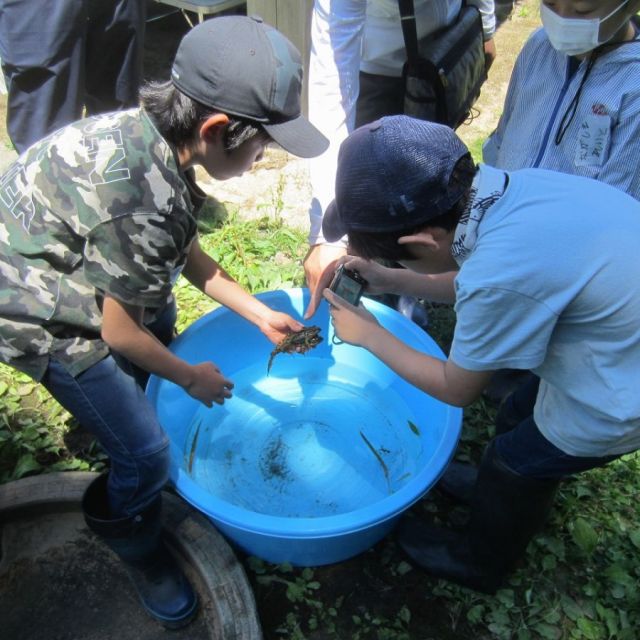 国営越後丘陵公園「田んぼの生きもの観察会」