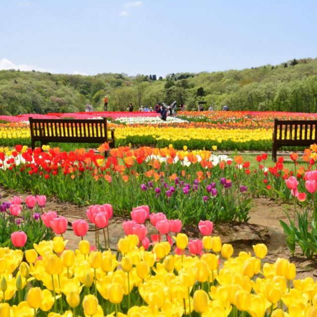 国営越後丘陵公園