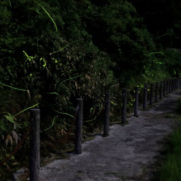 岩瀬ほたるの里