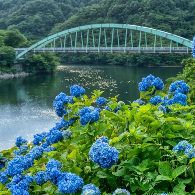 正善寺ダム