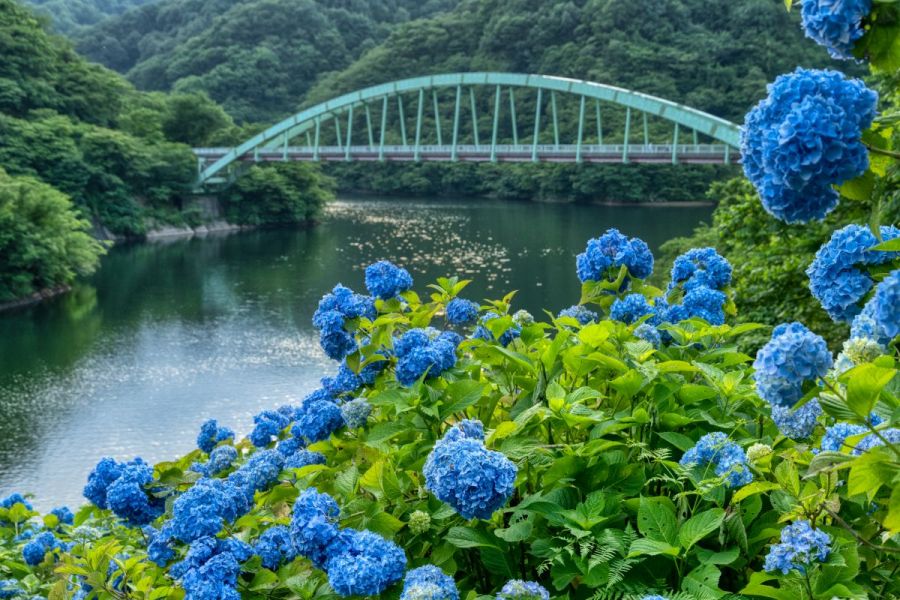 正善寺ダム