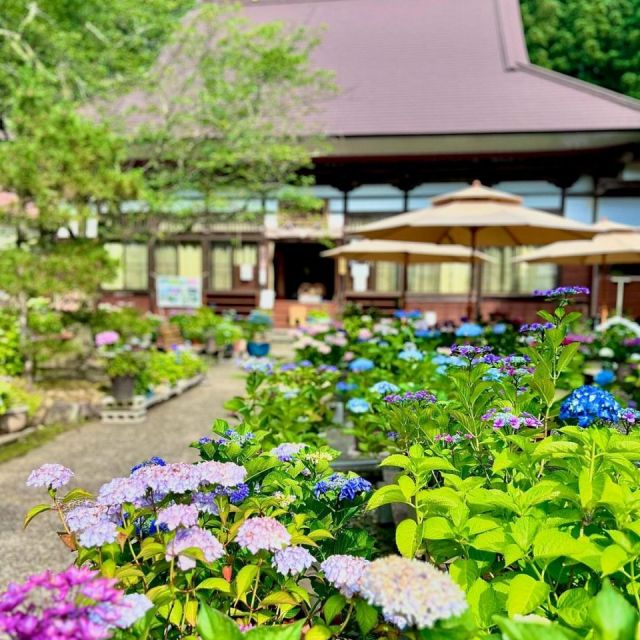 光照寺