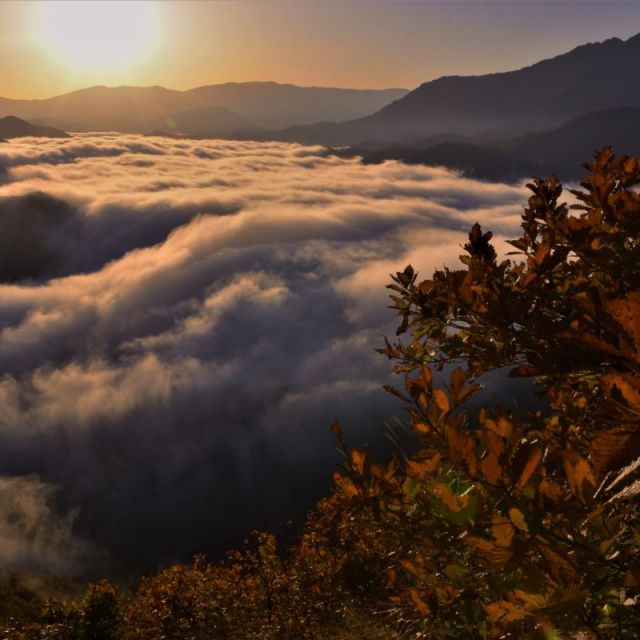 枝折峠（しおりとうげ）