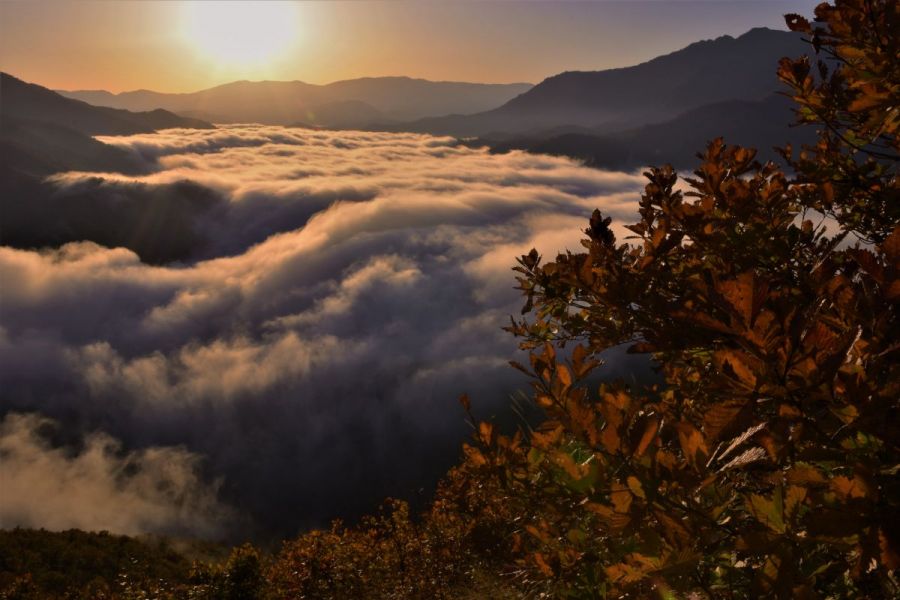 枝折峠の滝雲と朝日