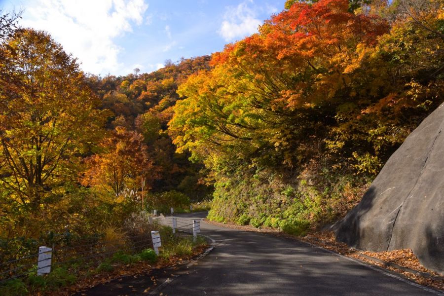 紅葉の枝折峠