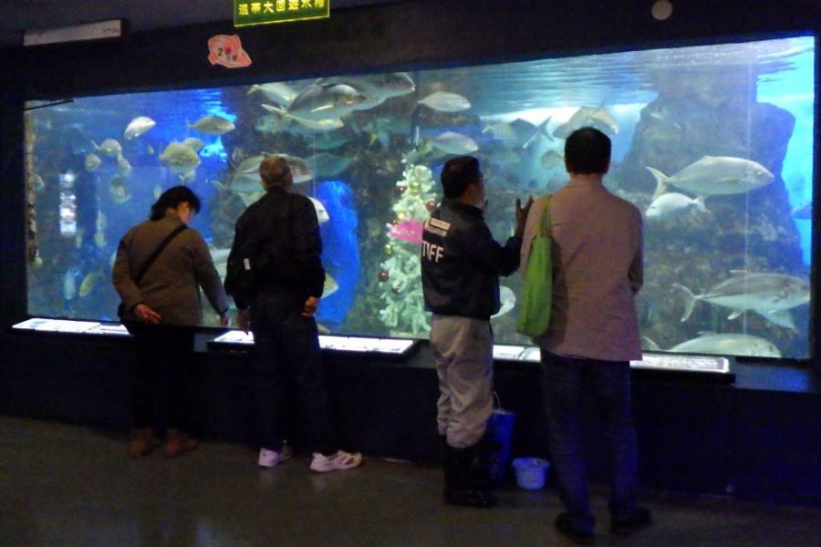 水族博物館バックヤードツアー