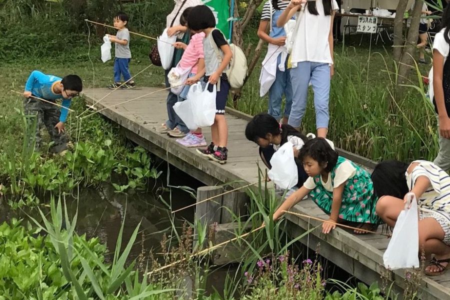 ザリガニ釣り