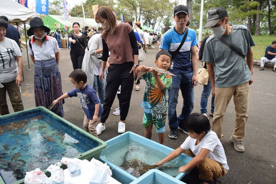 魚のタッチプール