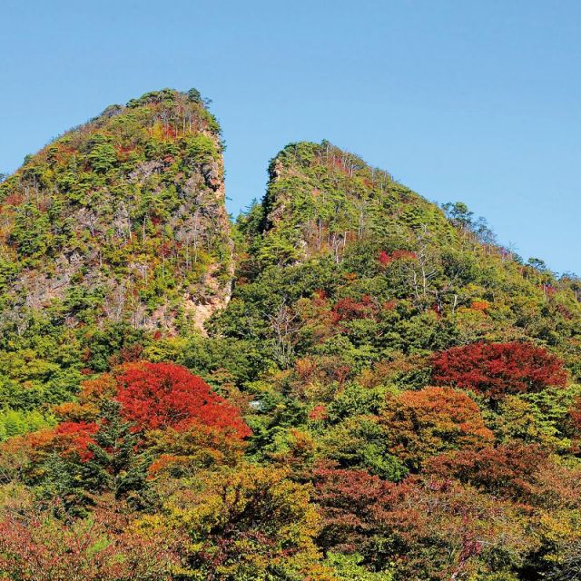 推しカラーでめぐる「にいが旅」-That's Niigata Color Gold-