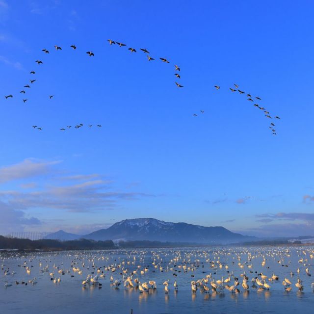 ラムサール条約登録湿地「佐潟」