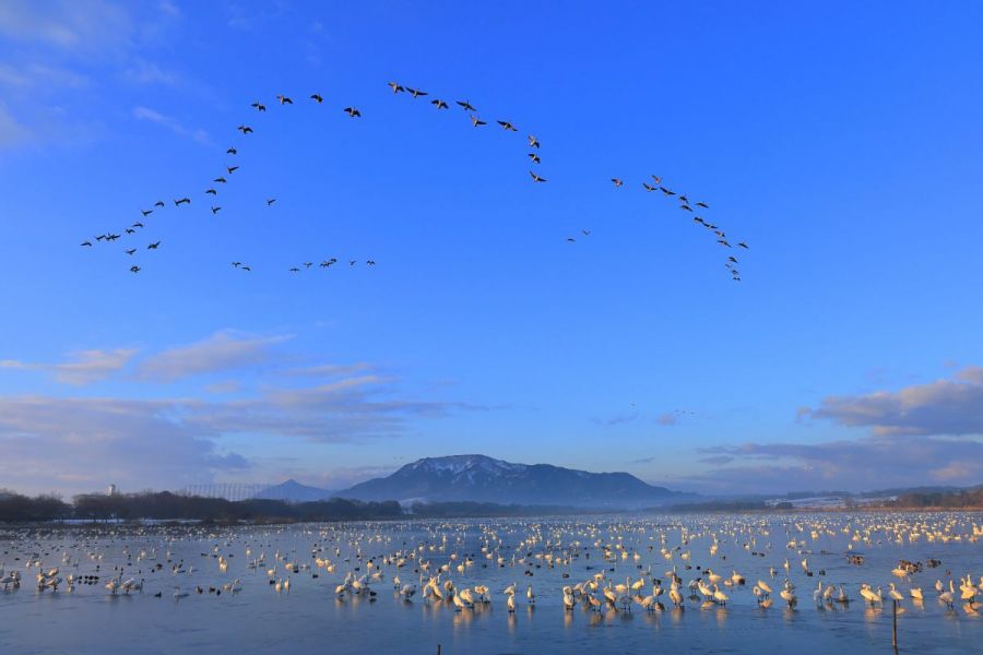 ラムサール条約登録湿地「佐潟」