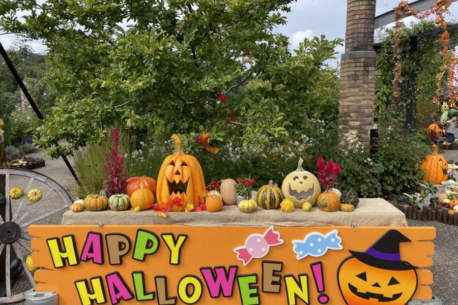 国営越後丘陵公園「ハロウィン・ハーベスト」