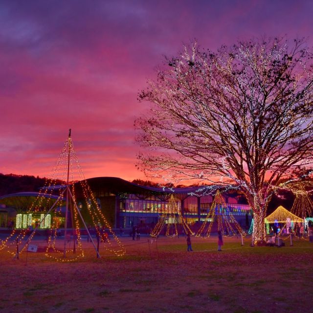 国営越後丘陵公園「サンセットオープン」Xmasステージショーとともに！