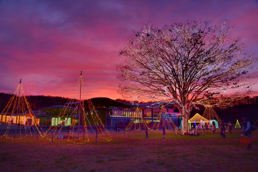 国営越後丘陵公園「サンセットオープン」Xmasステージショーとともに！