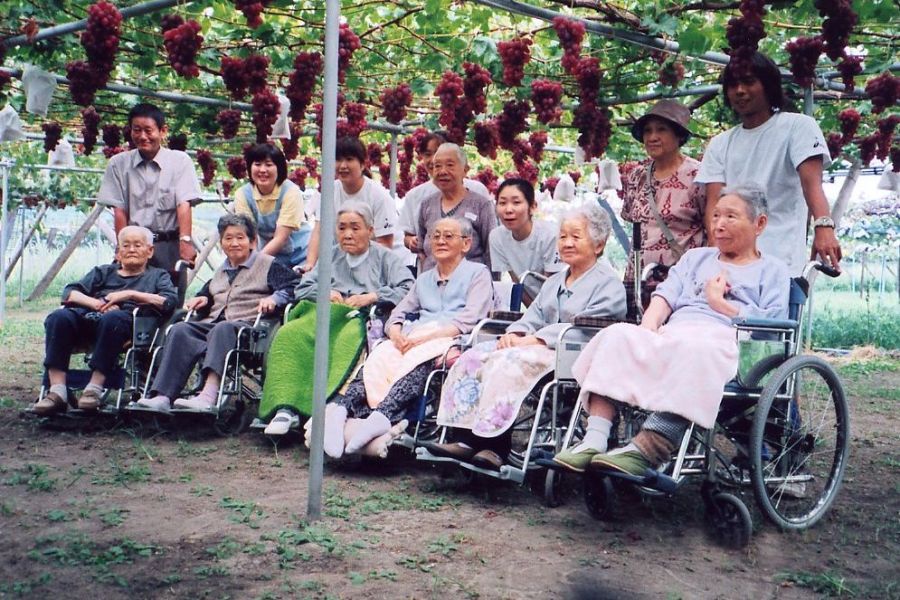 田中ぶどう園