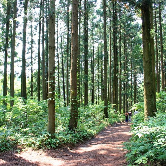 高坪山・高坪山登山口