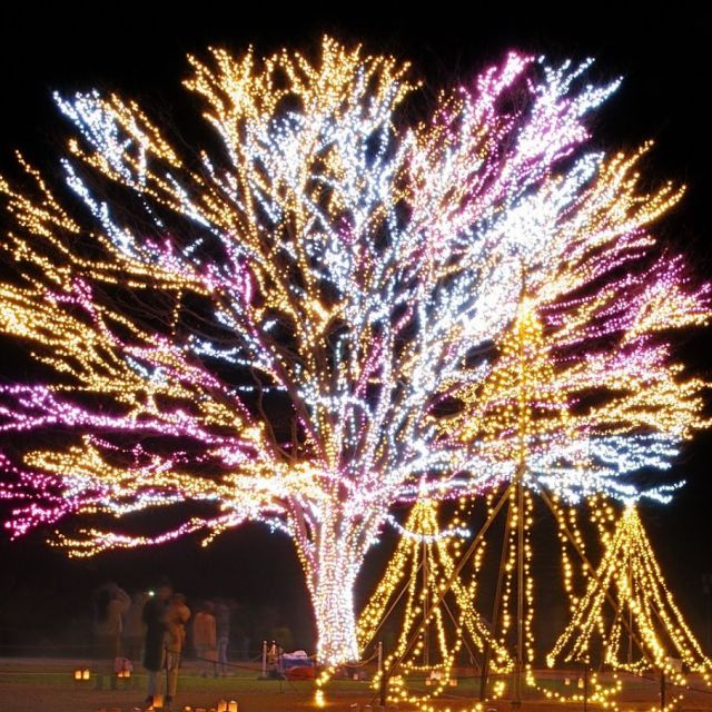 国営越後丘陵公園「Xmasキャンドルナイト」「Xmasイルミネーション」