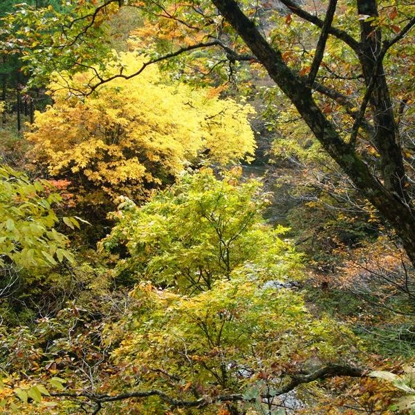 山熊田渓谷