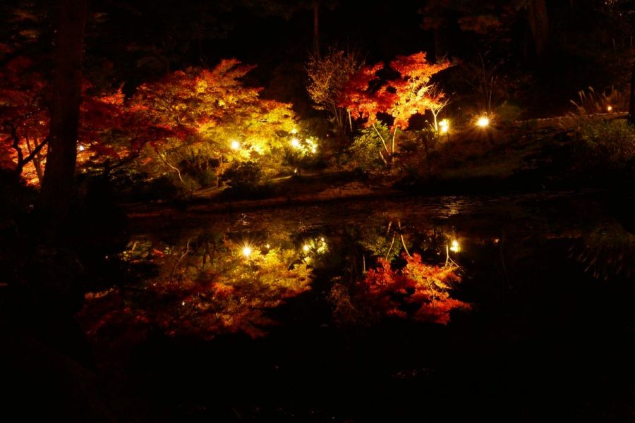 弥彦公園　池に映る紅葉