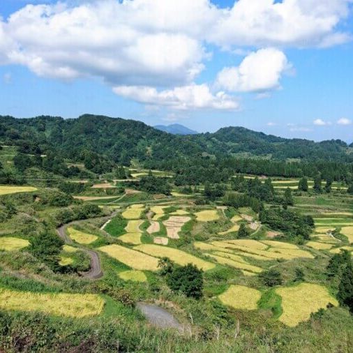 十日町棚田トレッキング 絶景・星峠の棚田コース