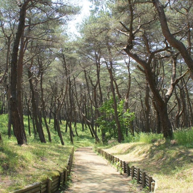 お幕場森林公園