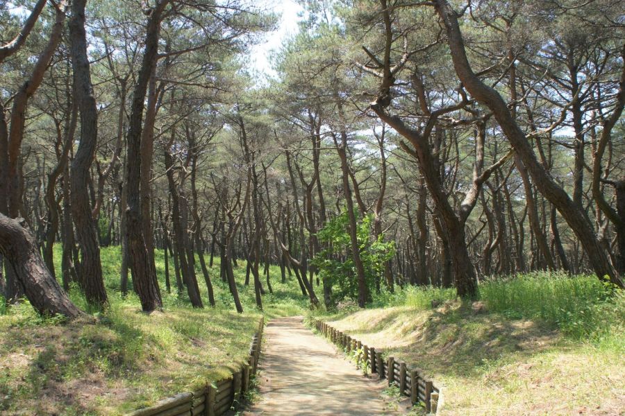 お幕場森林公園