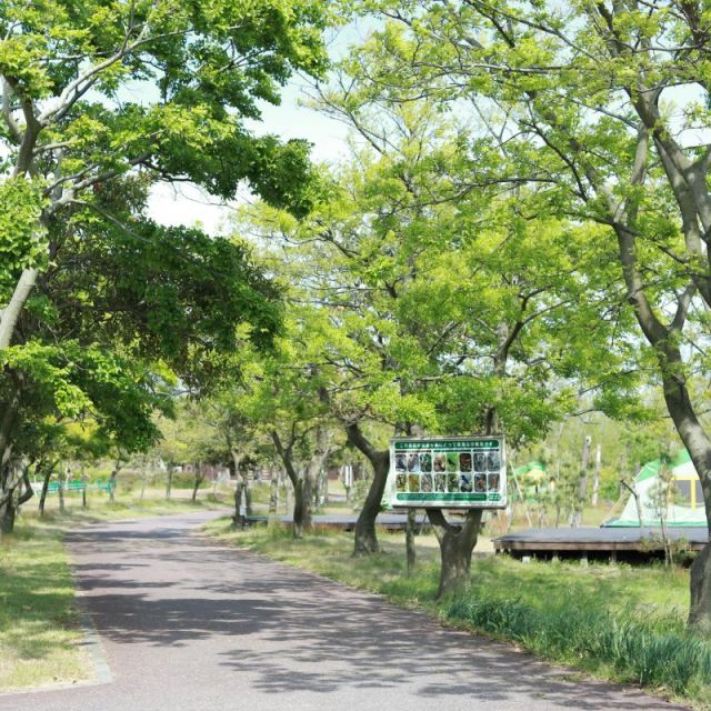 海辺の森キャンプ場