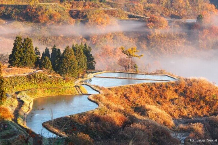 越後松代棚田群 星峠の棚田