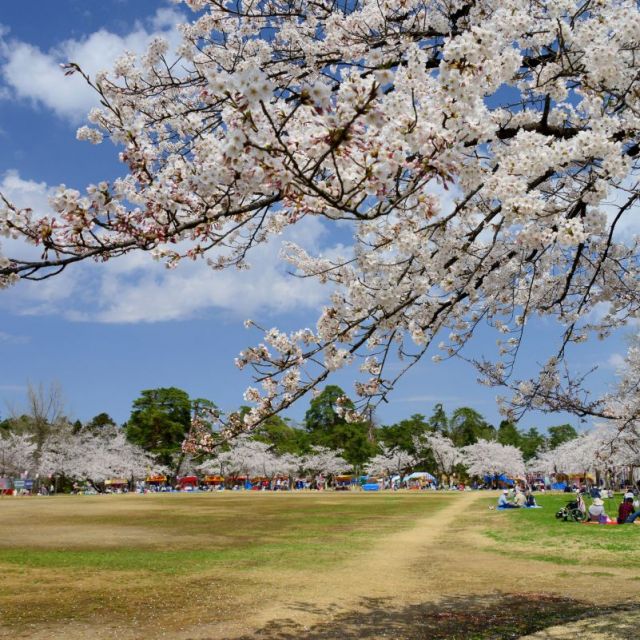 悠久山公園