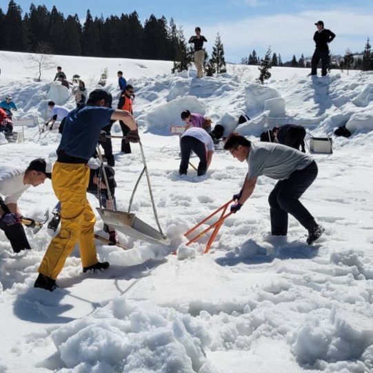 津南の雪下にんじん掘り競争