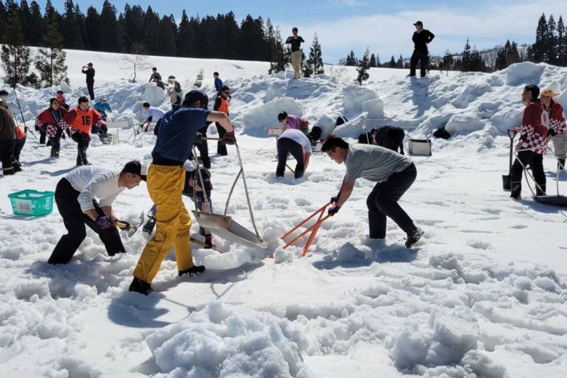 津南の雪下にんじん掘り競争