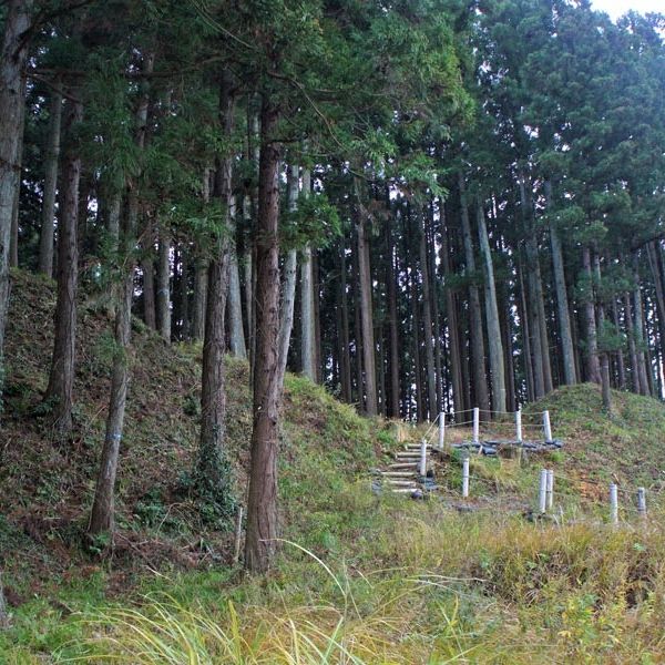 平林城跡