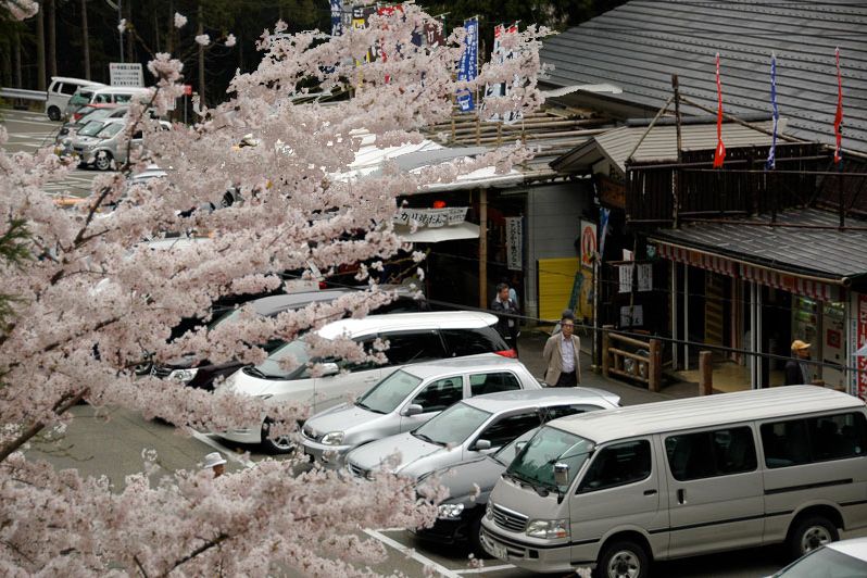 燕市分水ビジターサービスセンター