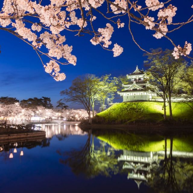 高田城址公園観桜会とワイナリーレストランディナーを楽しむバスツアー