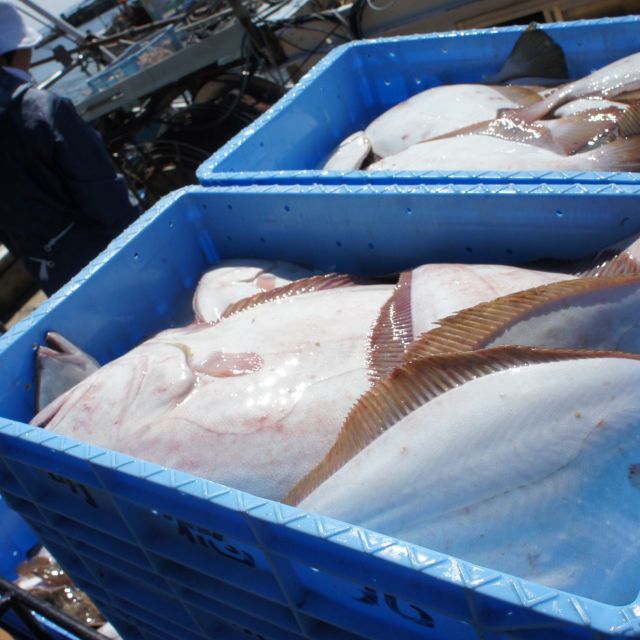岩船港直売所