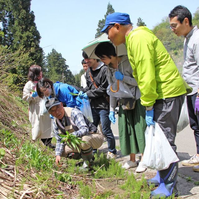 うぶすなで山菜を楽しむ 2025