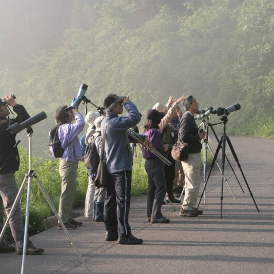 松之山探鳥会