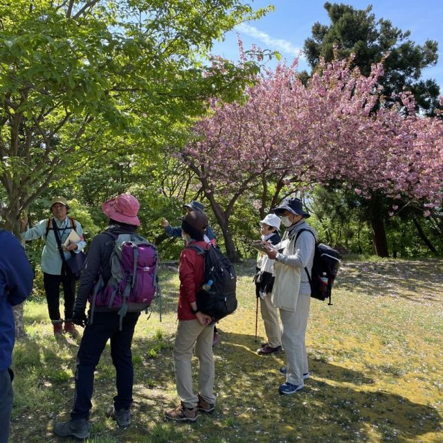 国上山 Nature Walk ～里山自然観察会～