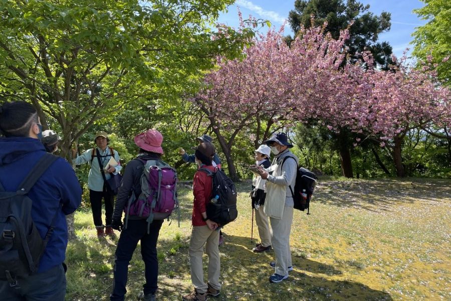 国上山 Nature Walk ～里山自然観察会～