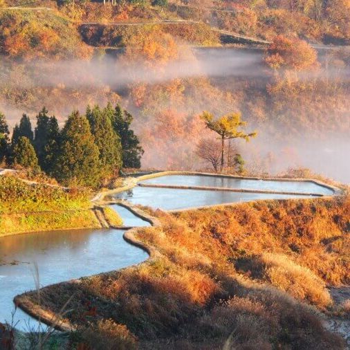 越後松代棚田群 星峠の棚田